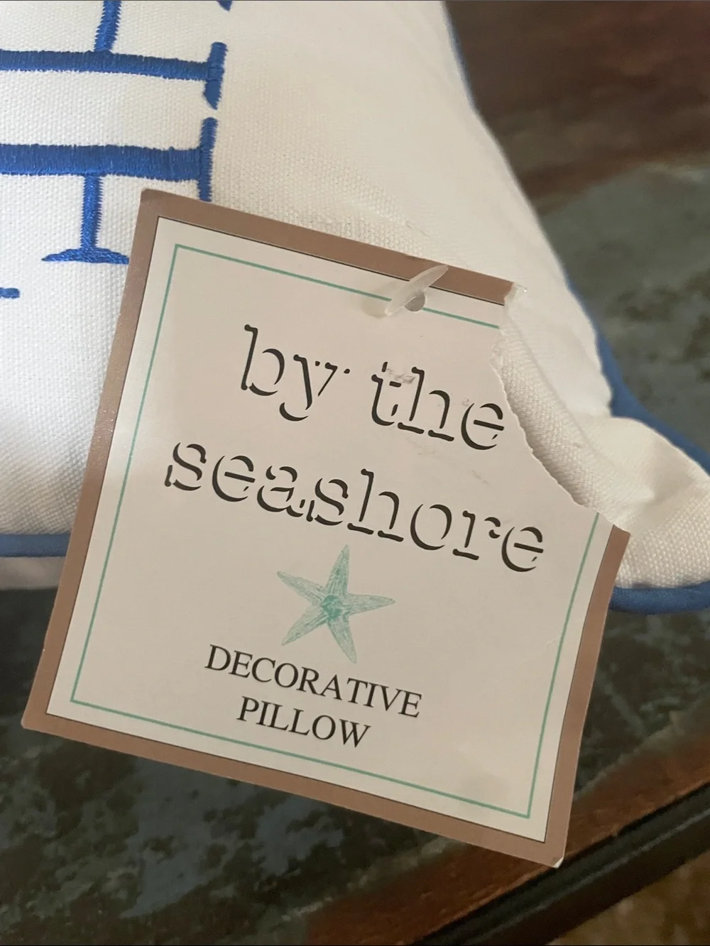 Take Me to the Ocean Embroidered Accent Pillow - White and Blue
